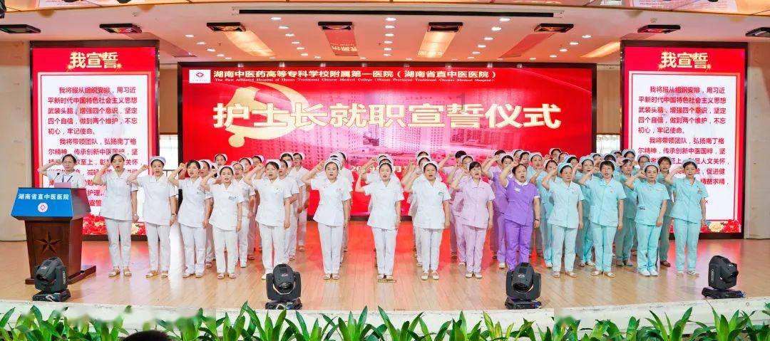 小猫钓鱼开船版最新版下载